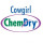 Cowgirl Chem-Dry