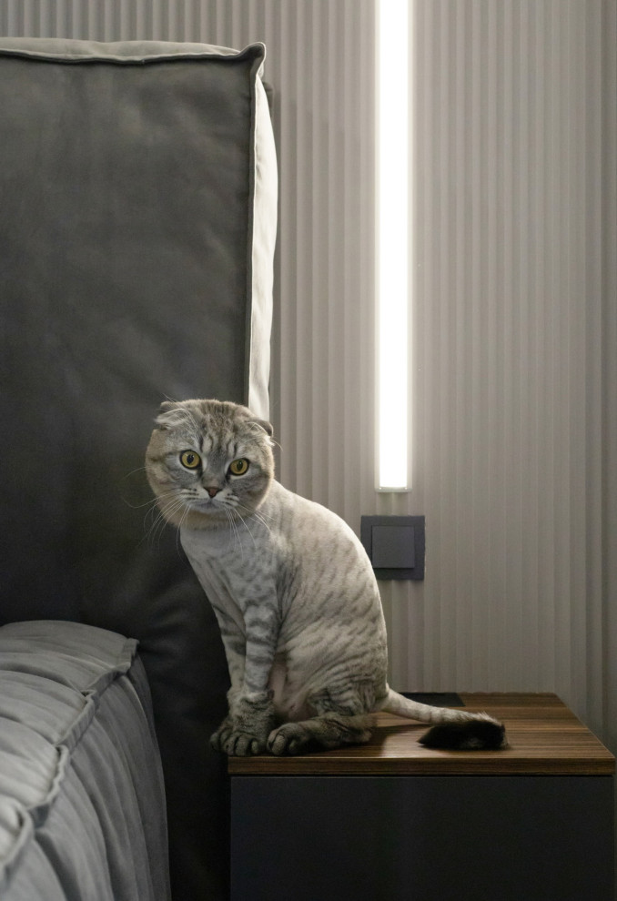 Полная меблировка квартиры ЖК «Прогесс»