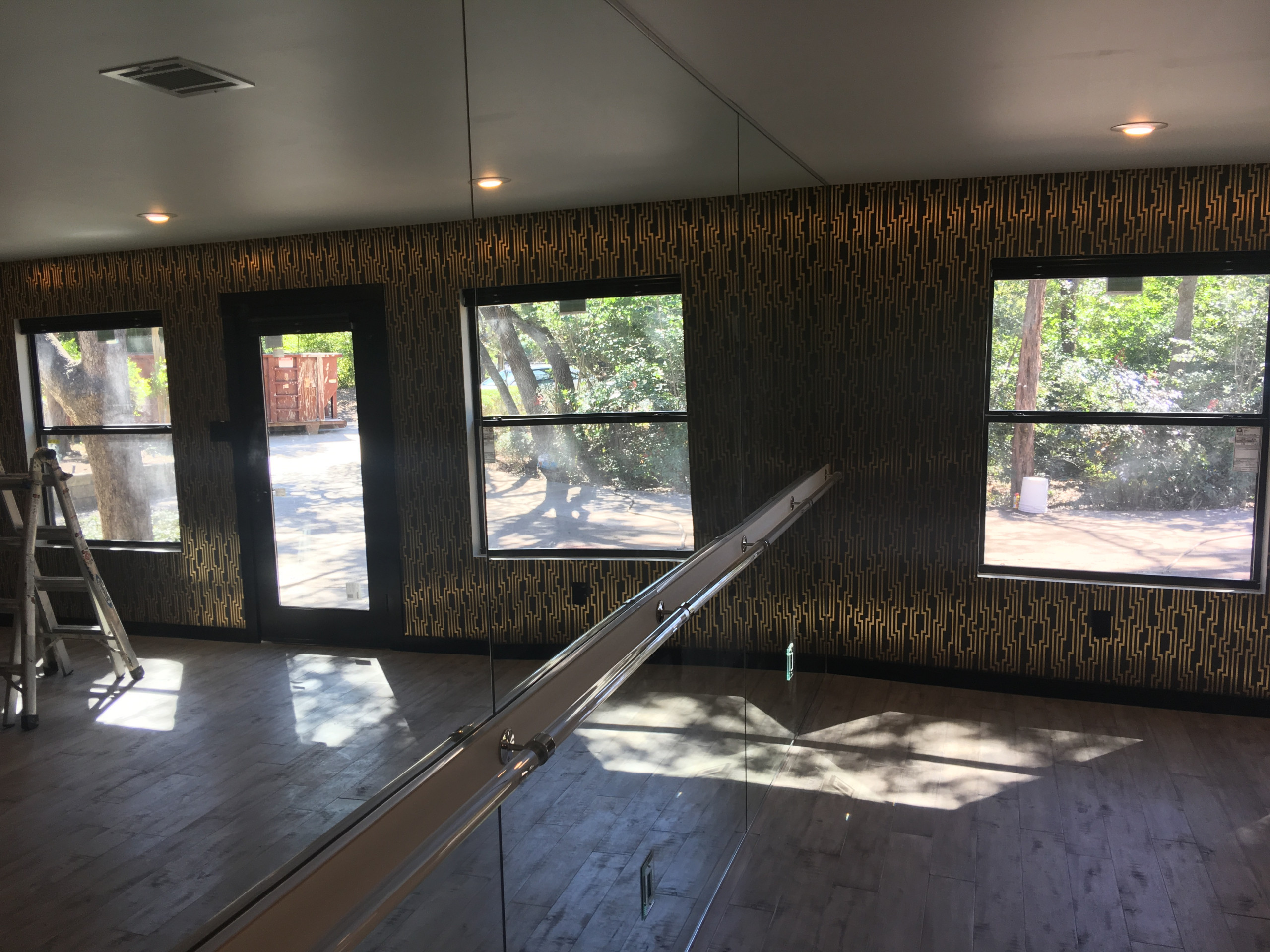 GYM MIRROR WALL WITH HANDRAIL