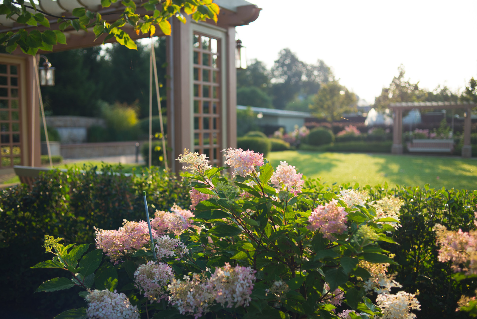 Регулярная классика