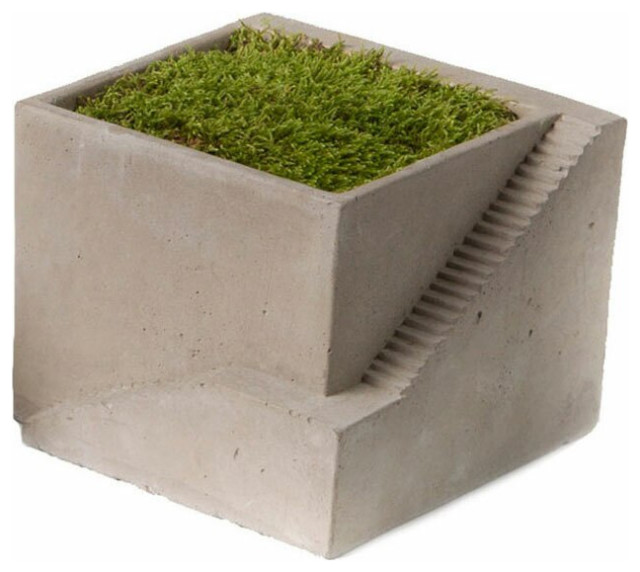 Cement Architectural Pot with One Planter