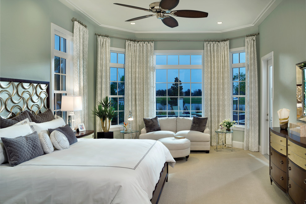 Large transitional master carpeted bedroom photo in Tampa