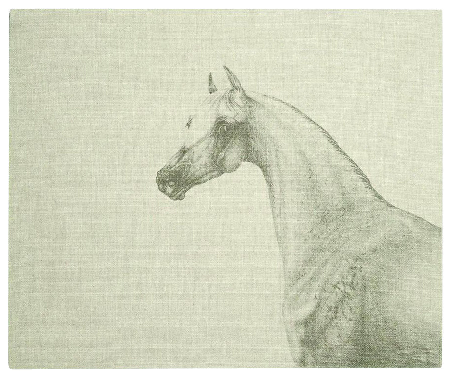 Portrait of a Horse Gallery