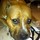 Last commented by lunar_owl