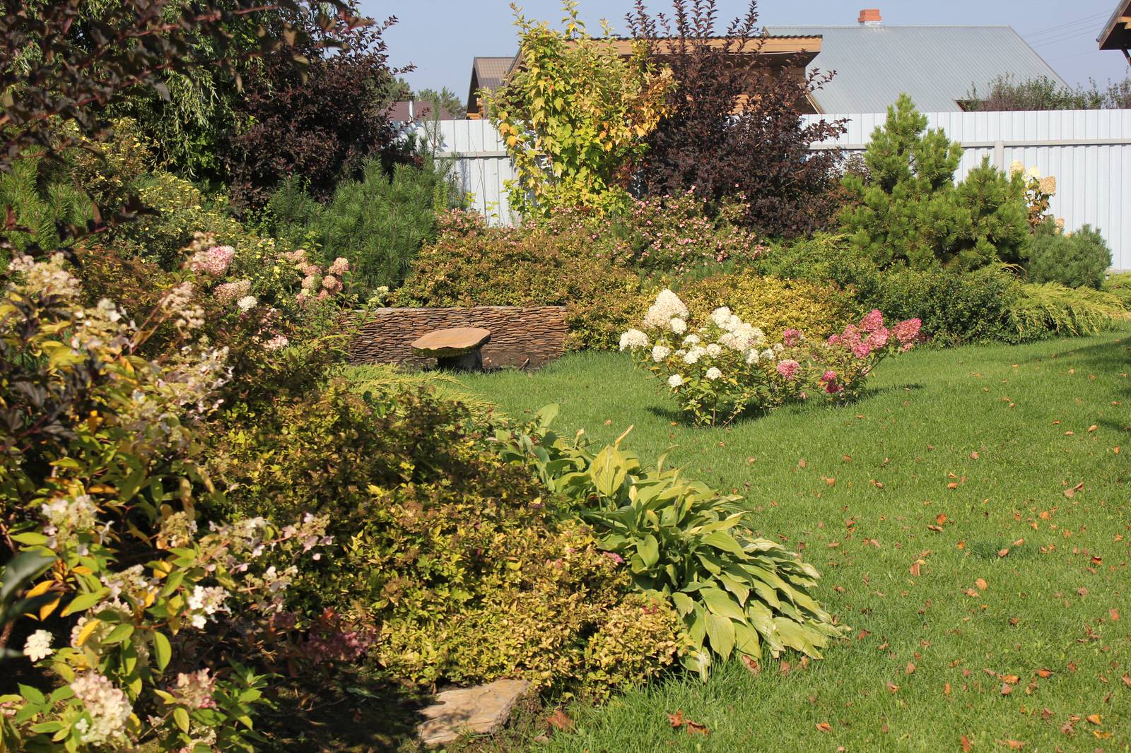 В гостях у Сказки