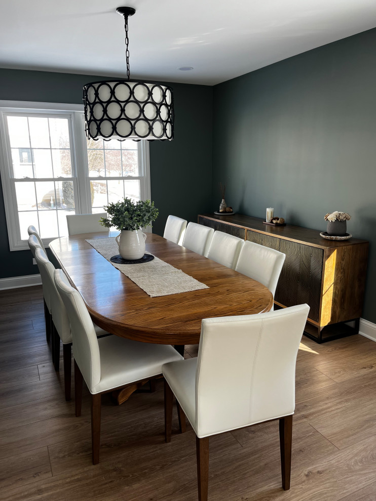 Hoffman Estates Main Level Renovation