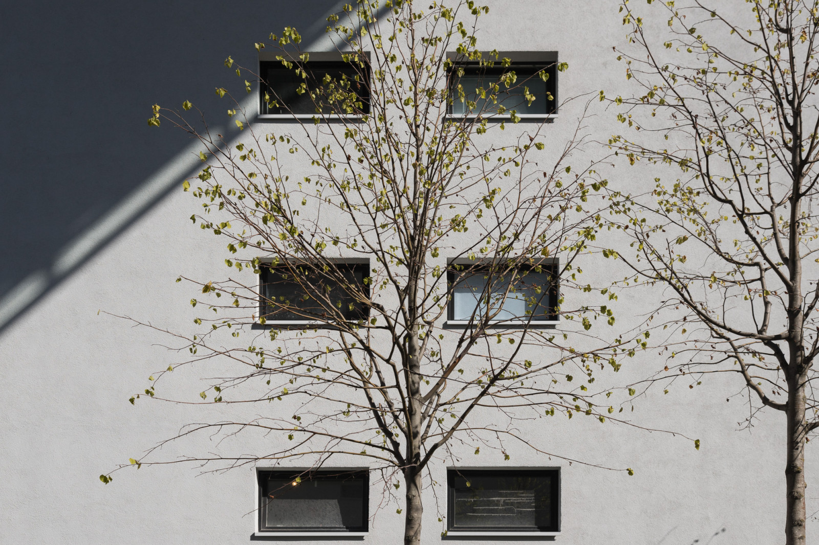 Дом с мостами