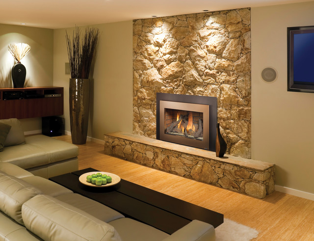 33 Dvi Gas Fireplace Insert Traditional Family Room Seattle