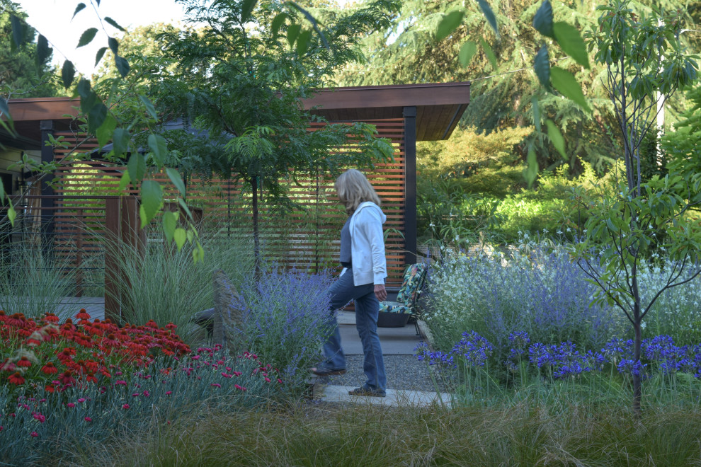 Imagen de camino de jardín de secano minimalista de tamaño medio en patio delantero con exposición total al sol
