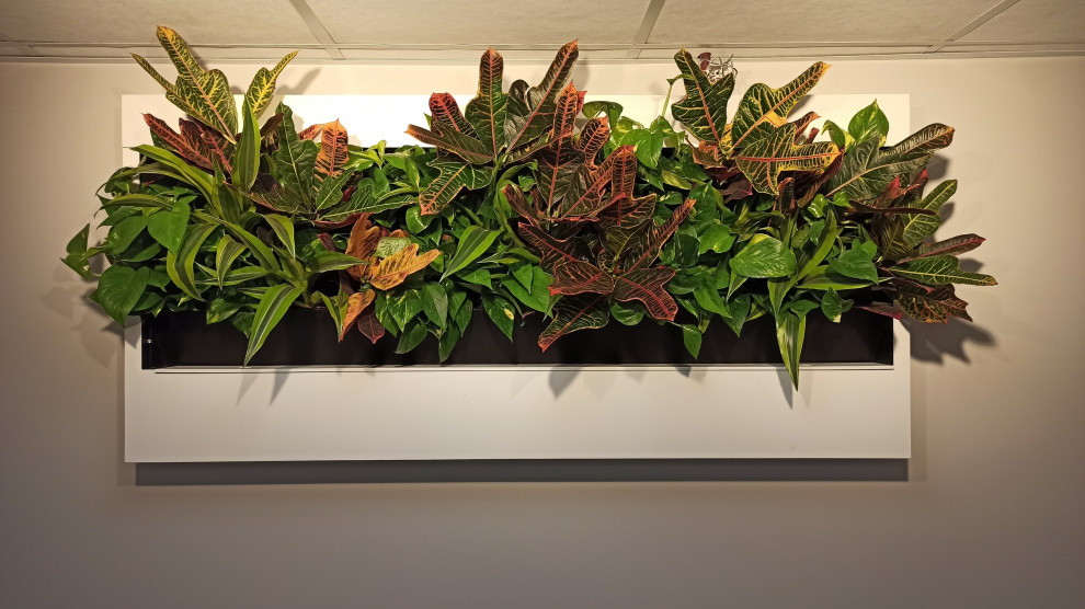 Фитокартины с автополивом для живых растений