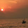 greenbaum indonesia