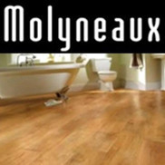 Molyneaux Tile Carpet Wood Project