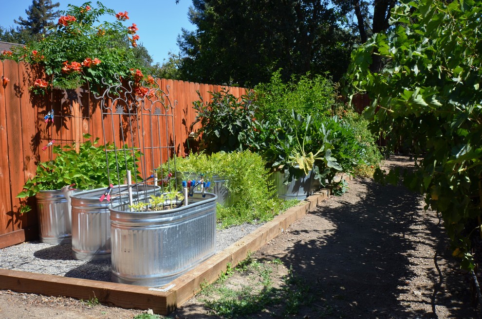 Photo of a traditional backyard garden in Sacramento with a vegetable garden.