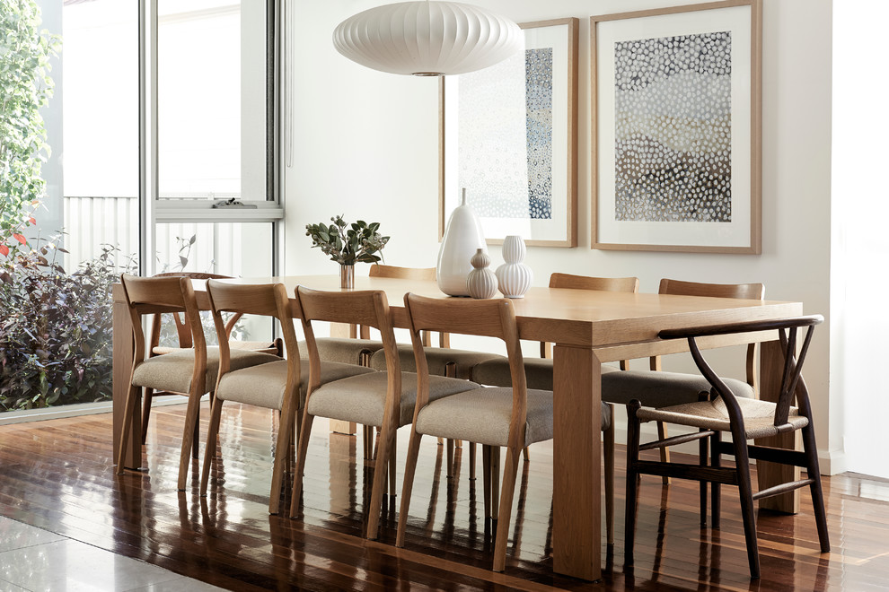 Photo of a large contemporary dining room in Sydney with white walls and medium hardwood floors.
