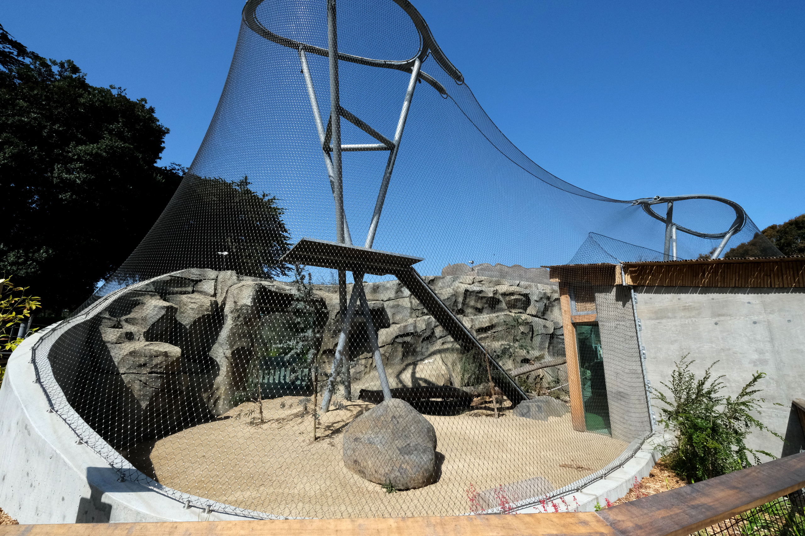 Snow Leopard Habitat