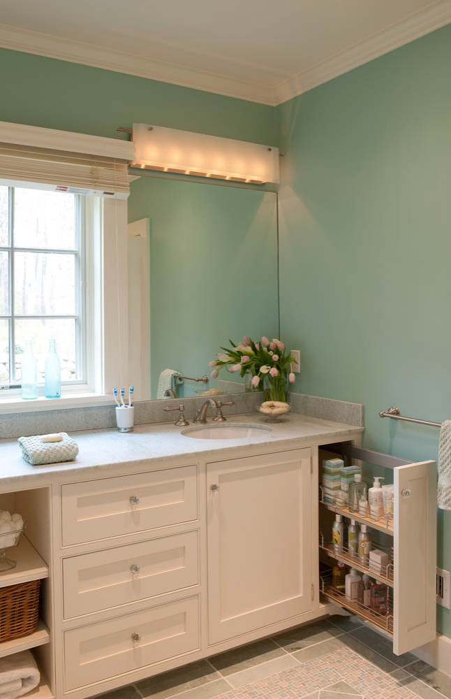 Pull Out Cabinet Bathroom Ideas Houzz