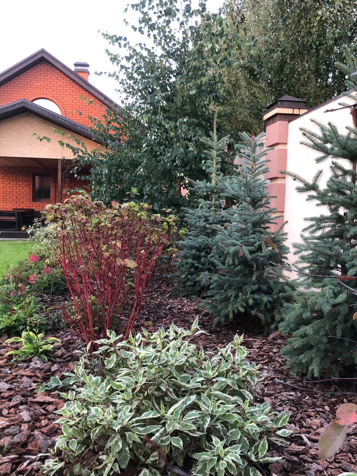 Волны и круг