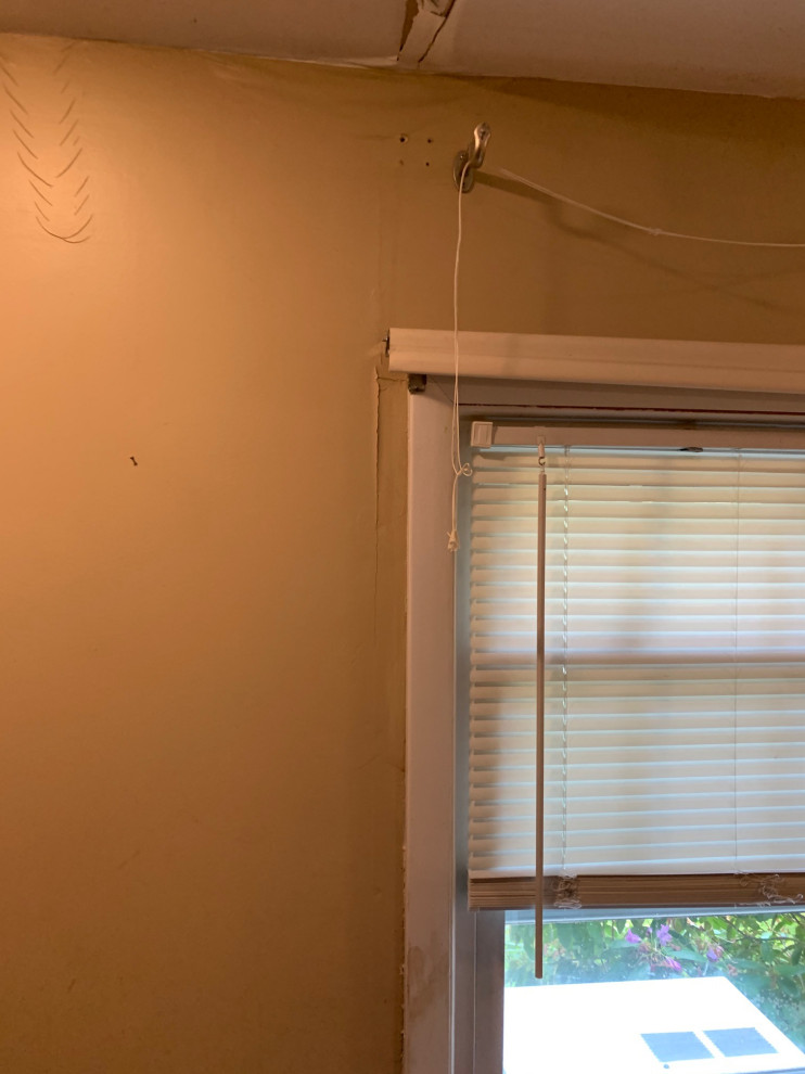 Water mitigation boston
