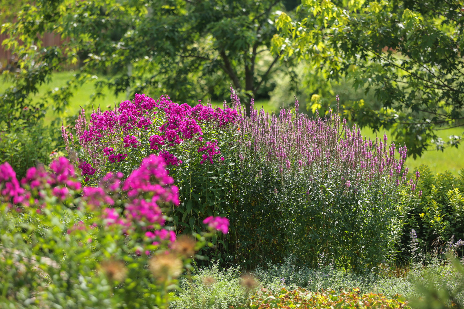 Якшино. Осень 2019