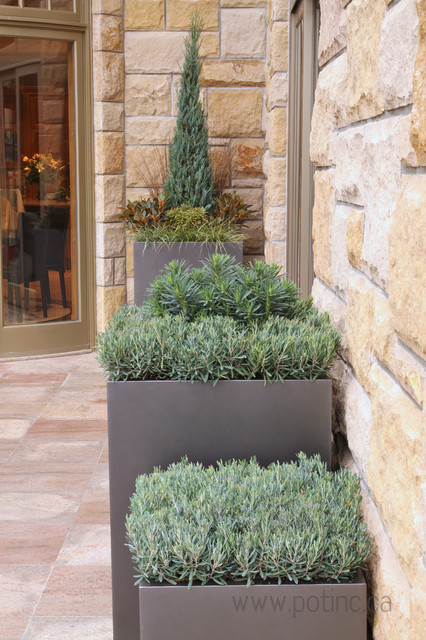 Pot Incorporated mediterranean-exterior