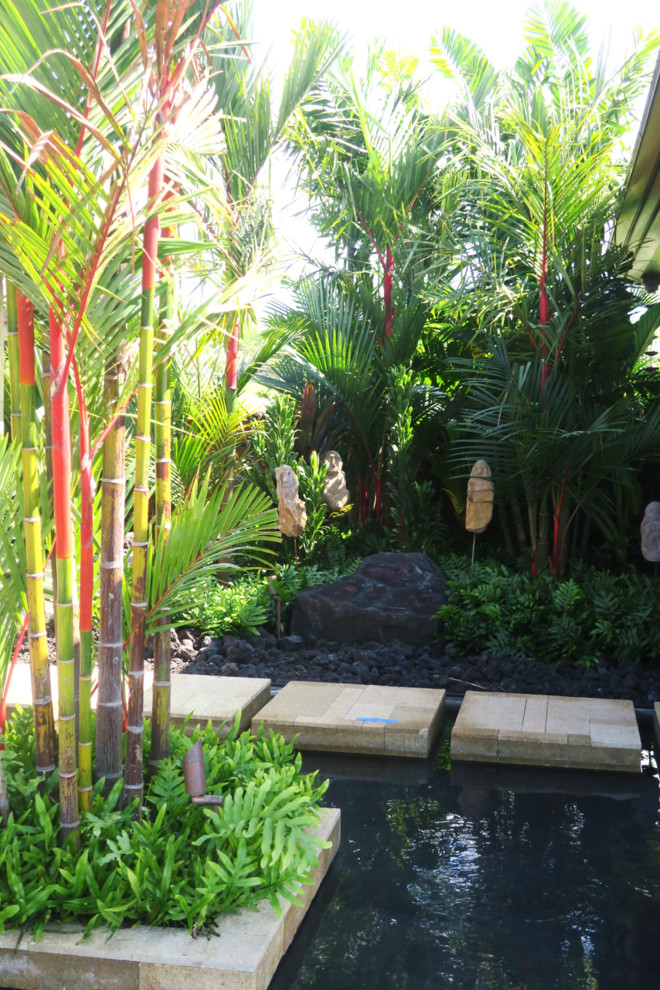 Photo of a contemporary garden in Hawaii.