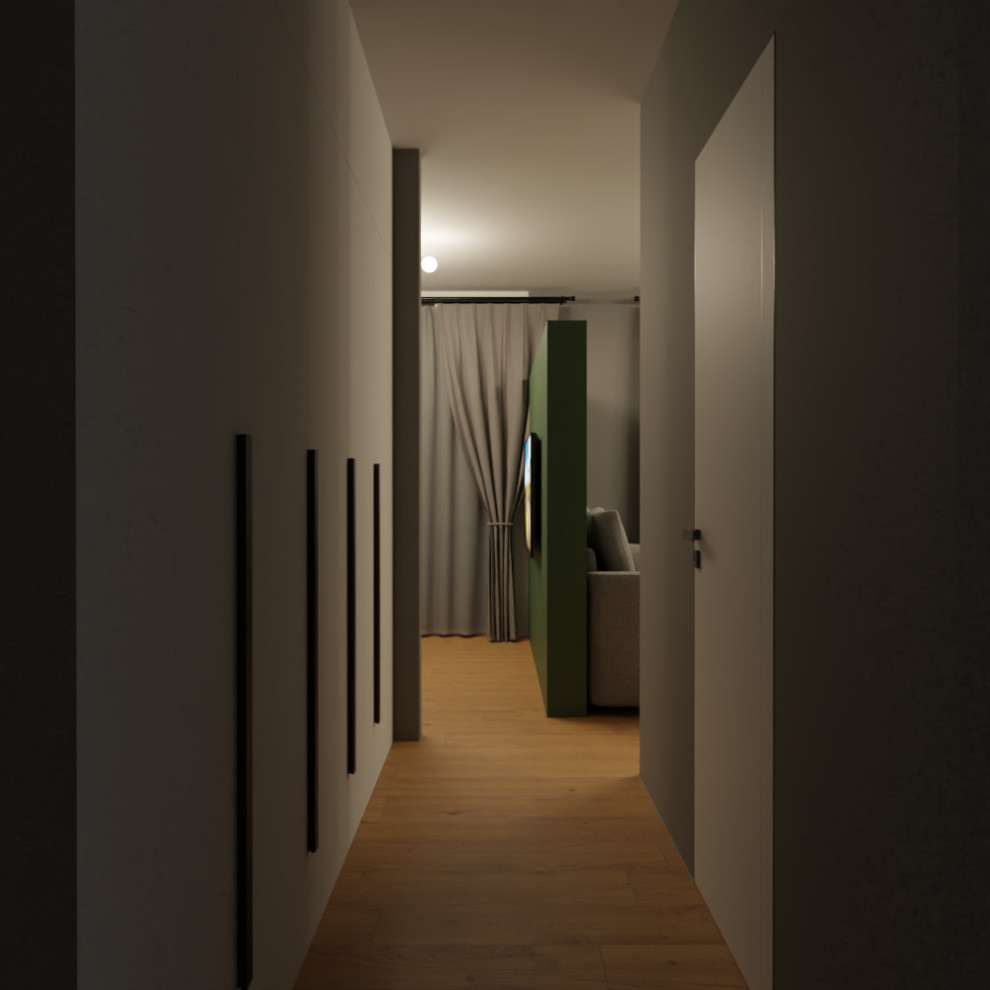 Визуализация трех типовых квартир под сдачу в аренду