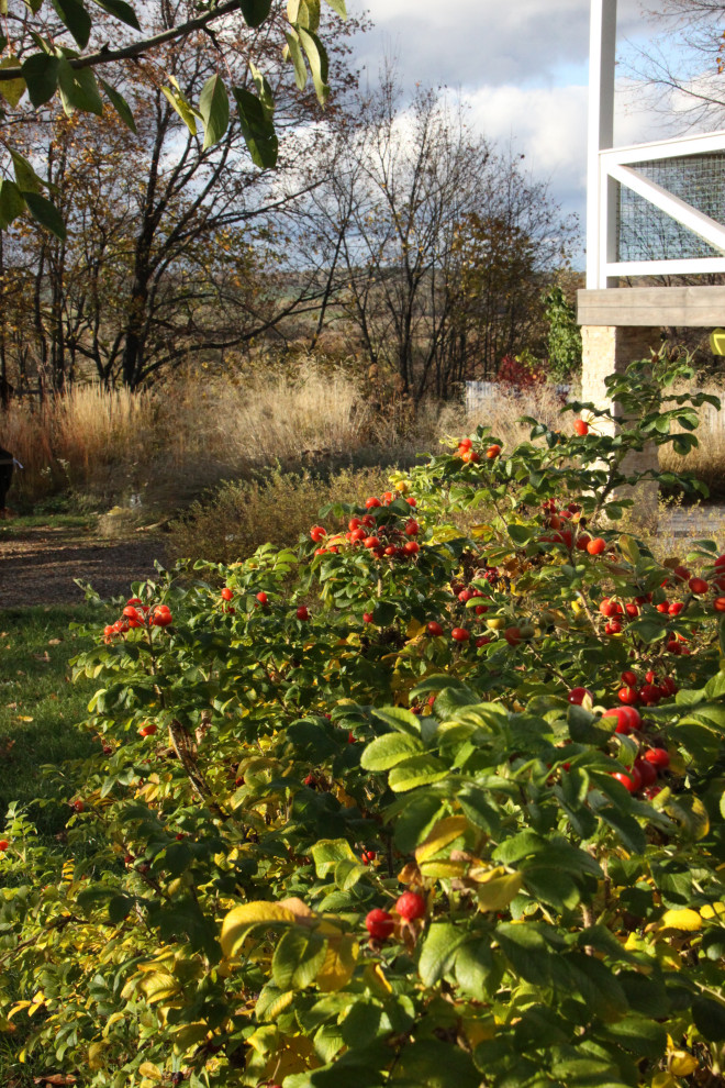 В духе ретро