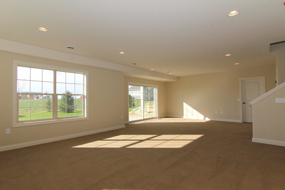 Basement - transitional basement idea