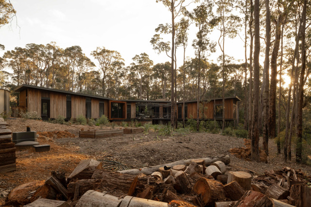 Treehouse contemporary-fasad