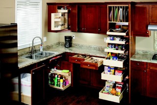 Pull Out System - Photos & Ideas