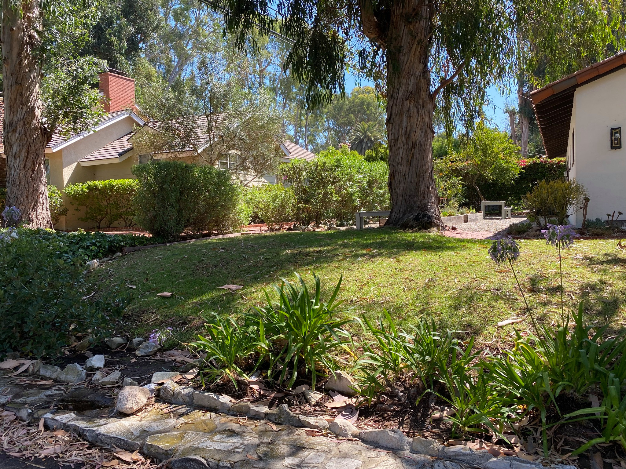 Ranch-Style Mediterranean Front Yard