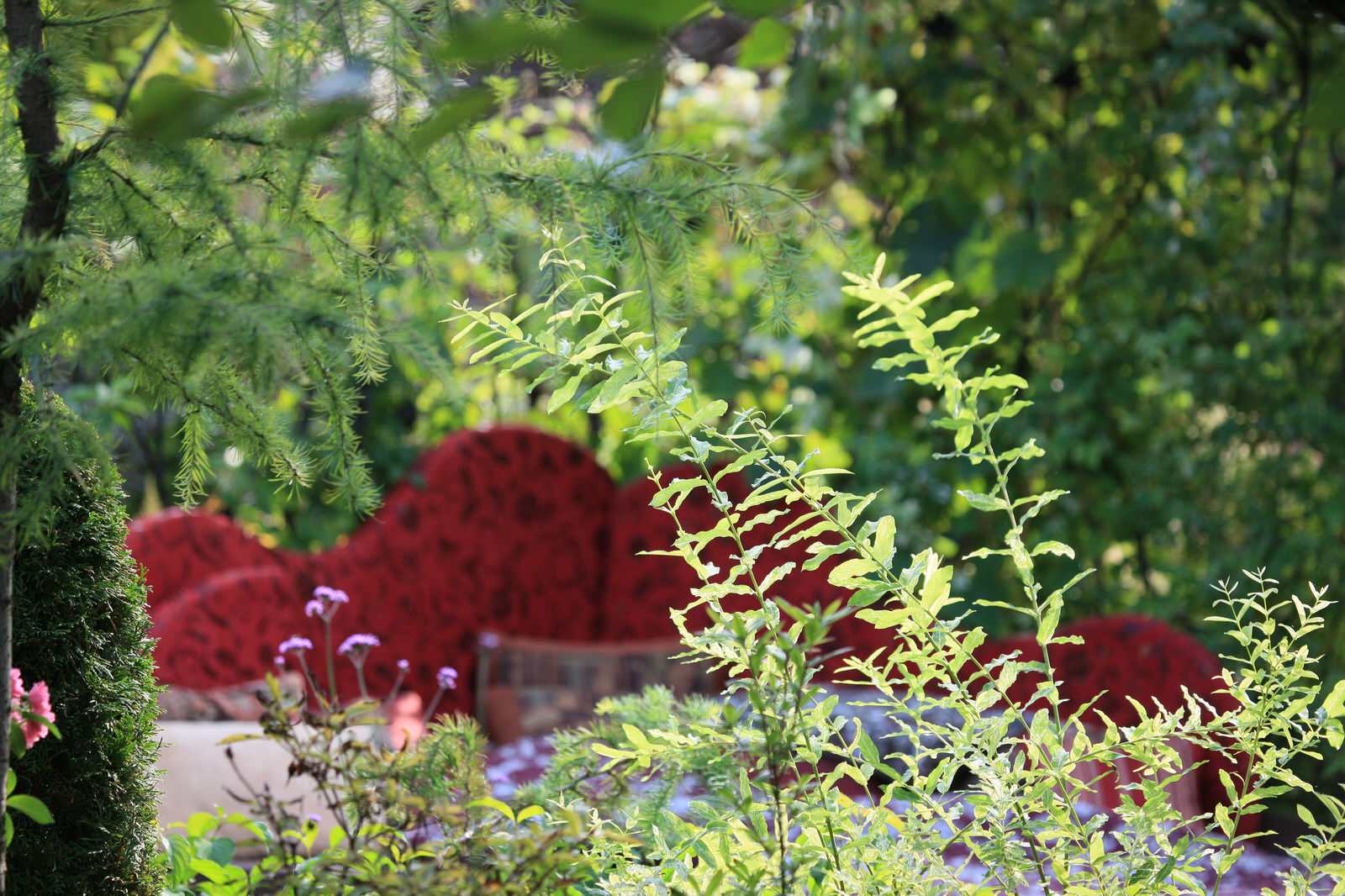 Преображение