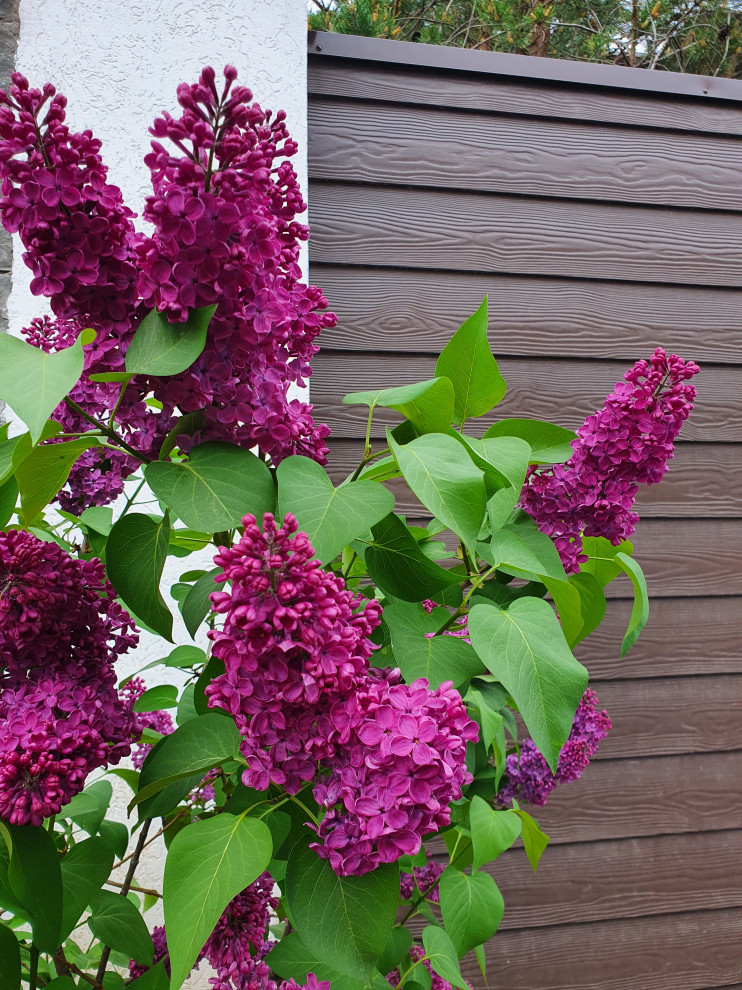 Частный сад в г.Самара