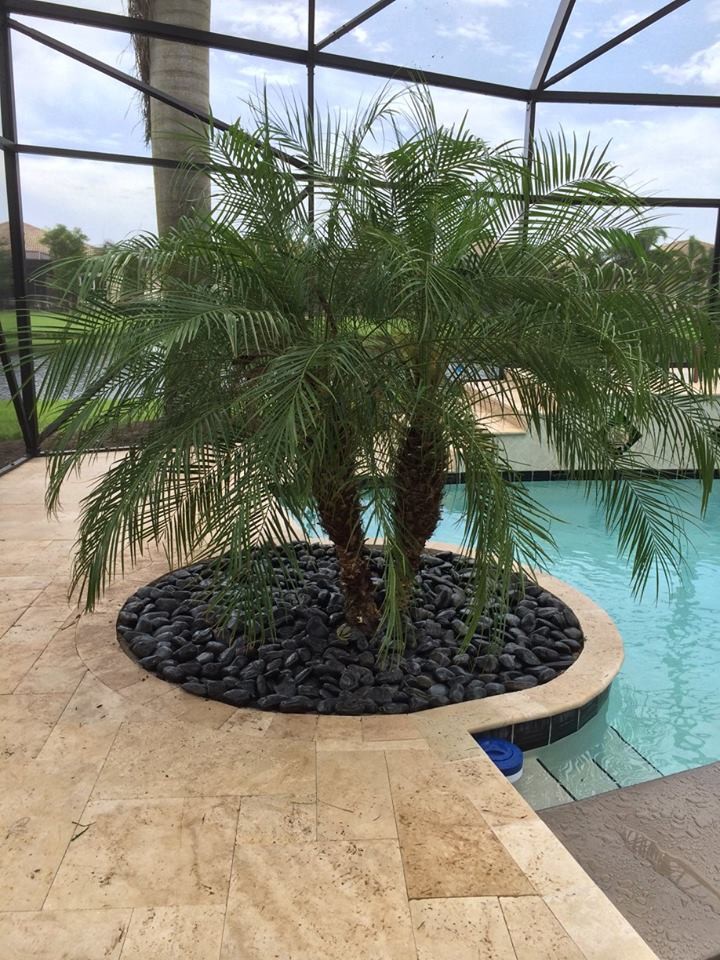 Inspiration for a mid-sized indoor tile and rectangular indoor pool remodel in Miami