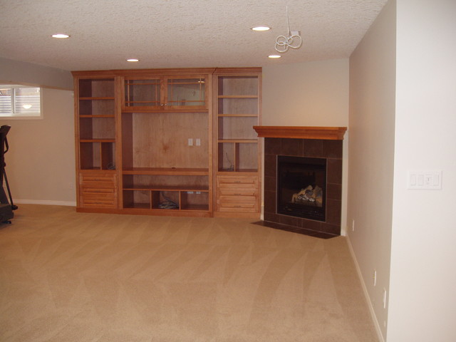 Basement Development transitional-basement