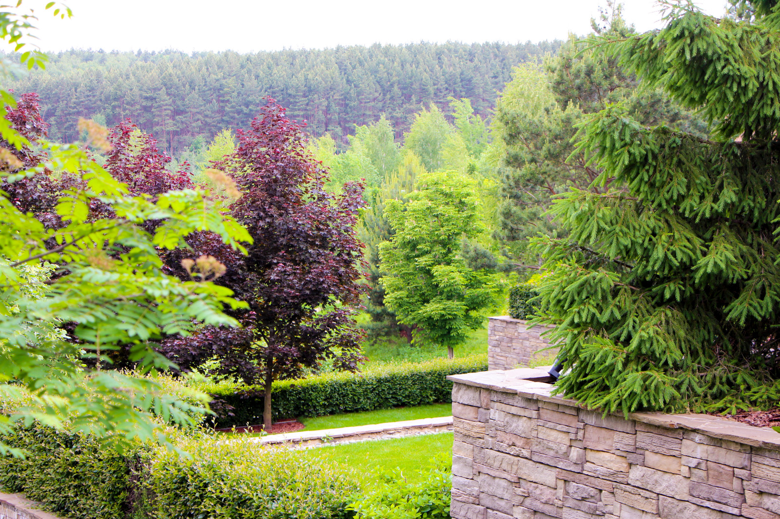 Лобаново, 2012-2021 гг.