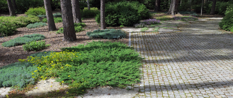 Не нужно бояться темноты