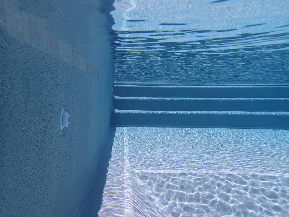 Pool - mid-sized transitional backyard rectangular pool idea