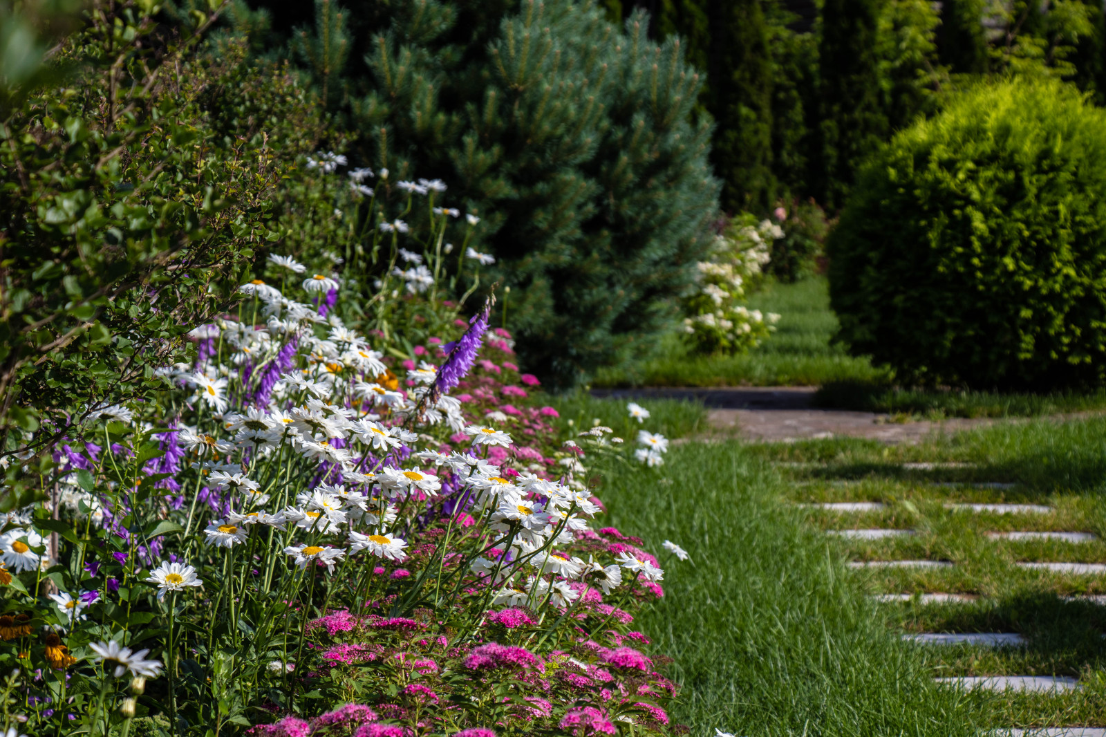 Сосновые берега