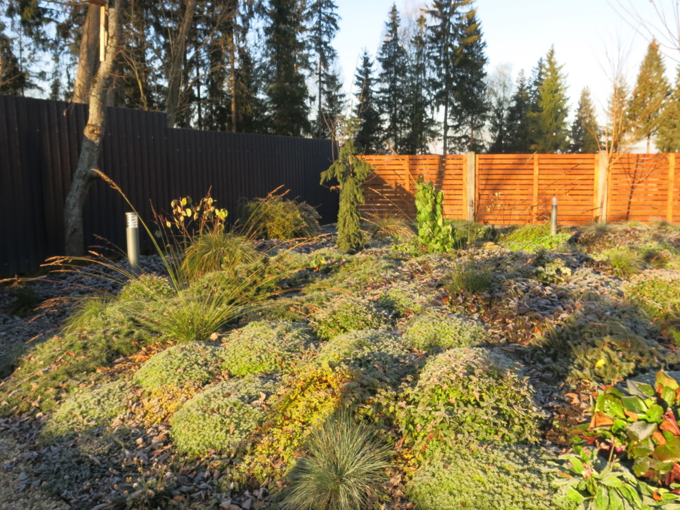 ЯГОДНОЕ ЛУКОШКО. СЕЗОН 2016. ПРЕДЗИМЬЕ. ПЕРВЫЕ ЗАМОРОЗКИ.