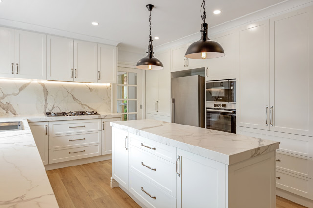 Kitchen renovation contemporary-kitchen
