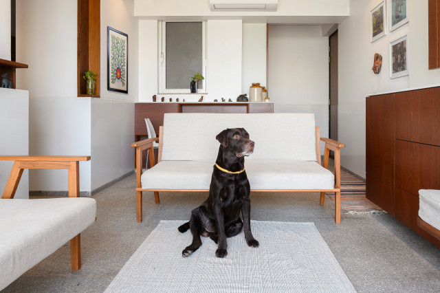 Houzz Tour: A Stylish Flat Designed for People and Pets Alike | Houzz IE