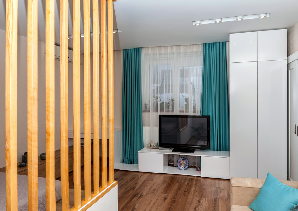 Гостиная с функцией спальни