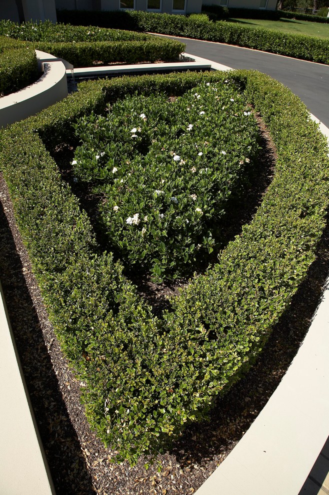 Inspiration for a contemporary formal garden in Sydney.