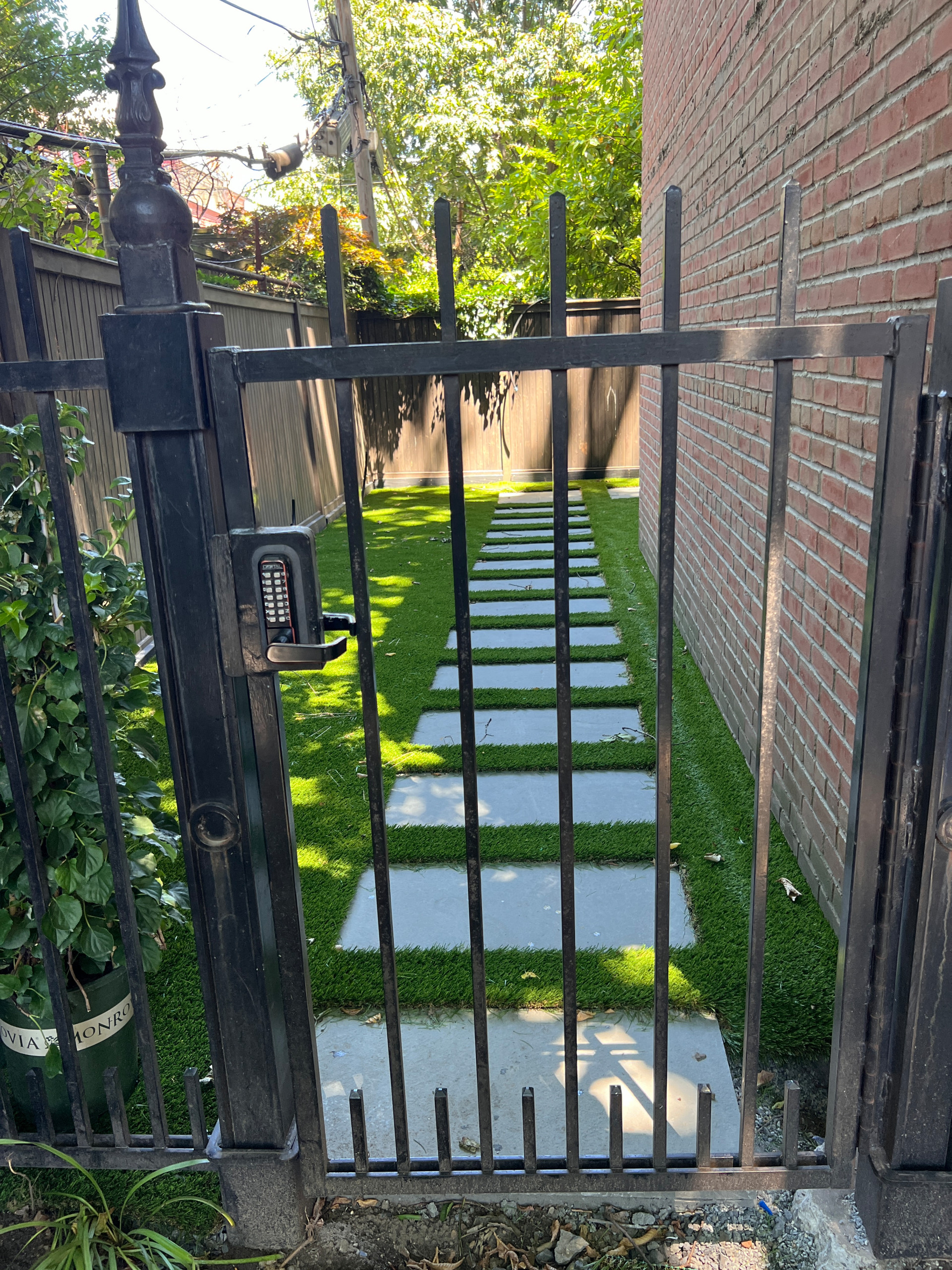 Brooklyn Degraw backyard