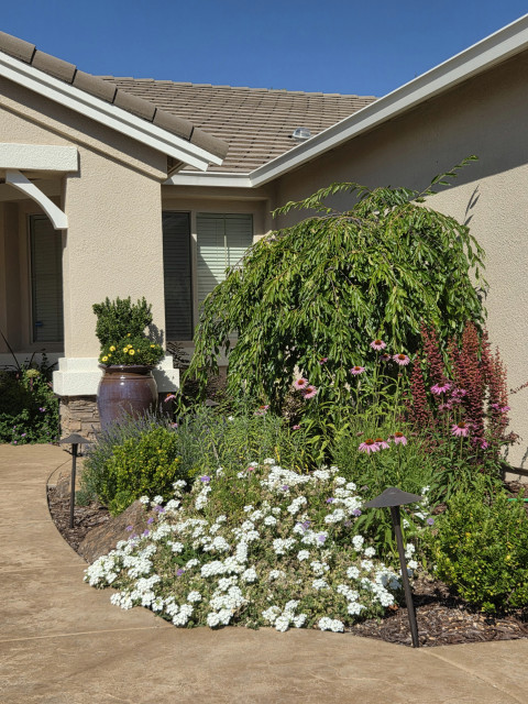 Stunning Curved Stamped Concrete Walkway contemporary-garden