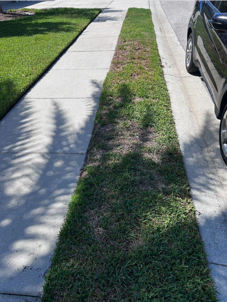 Front Yard Sod Installation – Wesley Chapel, FL