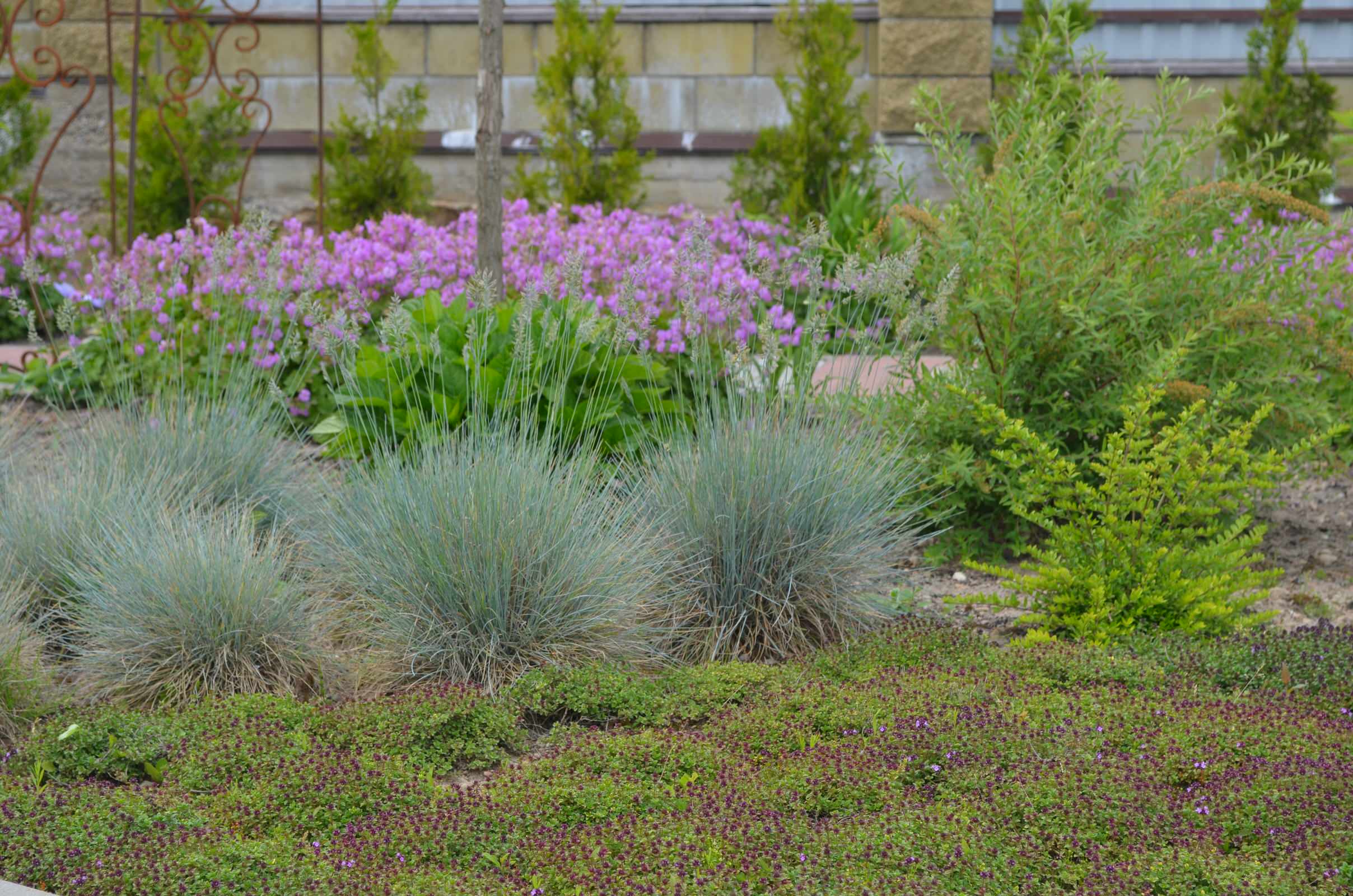 Сад "Ароматы Прованса"