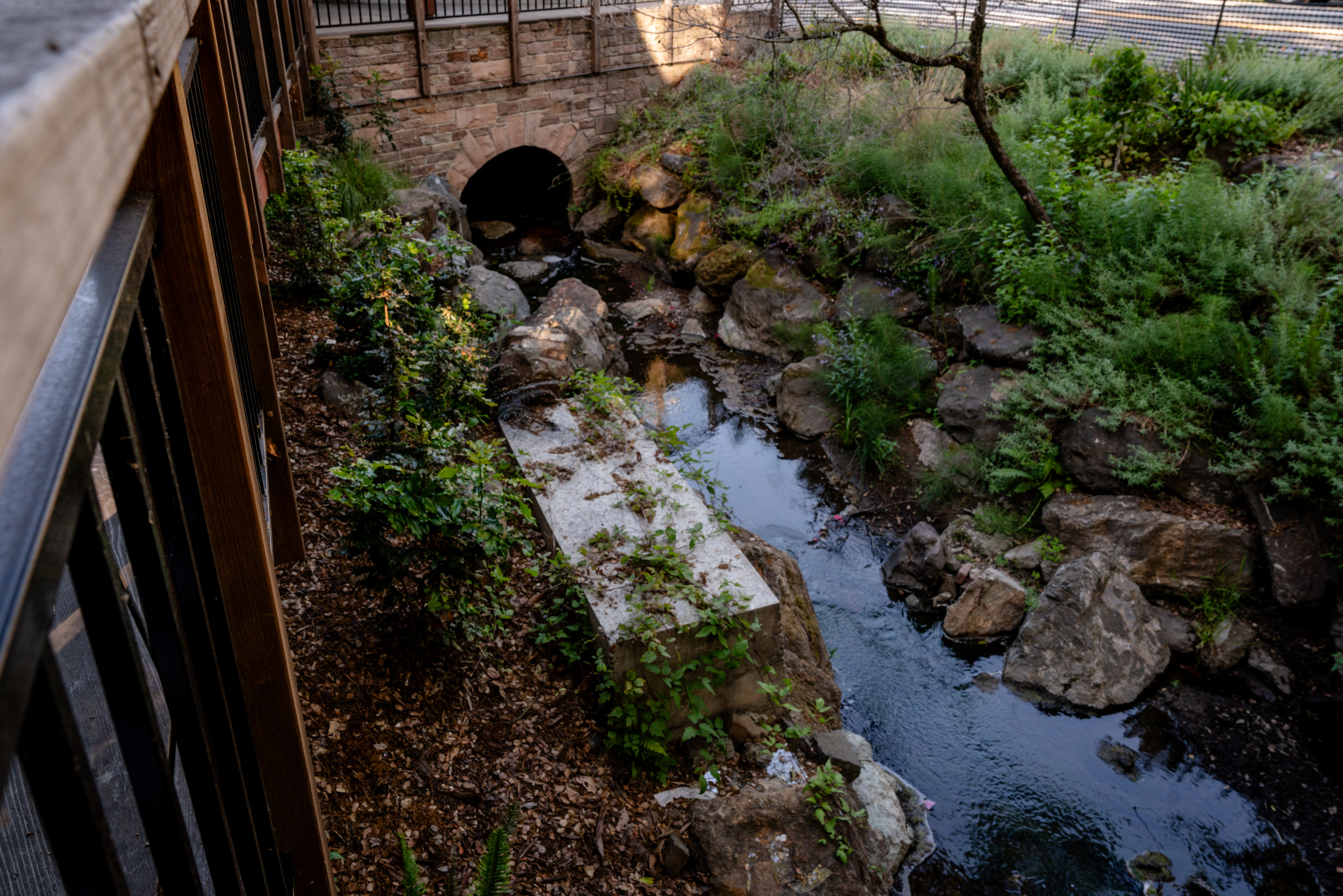 Overlook of Creekside with Stabilizing Plants and Bridge