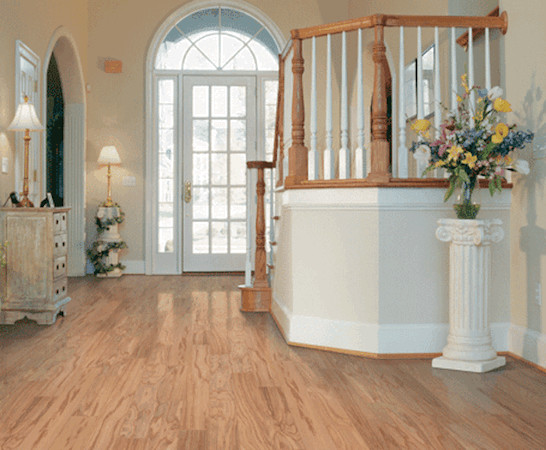 Inspiration for a mid-sized transitional light wood floor entry hall remodel in Cincinnati with beige walls and a white front door